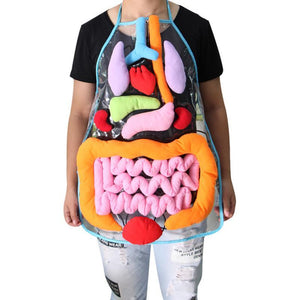 Anatomy Apron